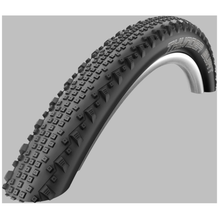 Schwalbe Thunder Burt ev s/s falt. 29 Zwart