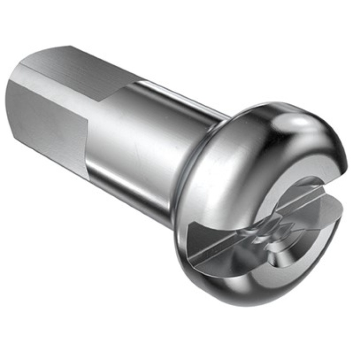 Dt Swiss SPAAKNIPPEL DT MS 14 12MM DS A 100 ZILVER