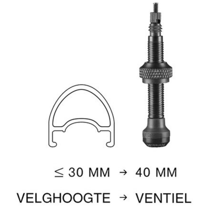 Schwalbe VENTIEL SC TUBELESS SV SET A 2 Zwart