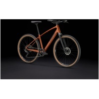 Trek Dual Sport 3 Gen 5 PENNYFLAKE - Afbeelding 4