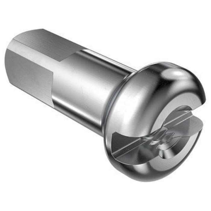 Dt Swiss SPAAKNIPPEL DT MS 14 14MM DS A 100 ZILVER