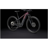 Trek Powerfly+ 6 Gen 5 SUNBURST/DARK STAR - Afbeelding 3
