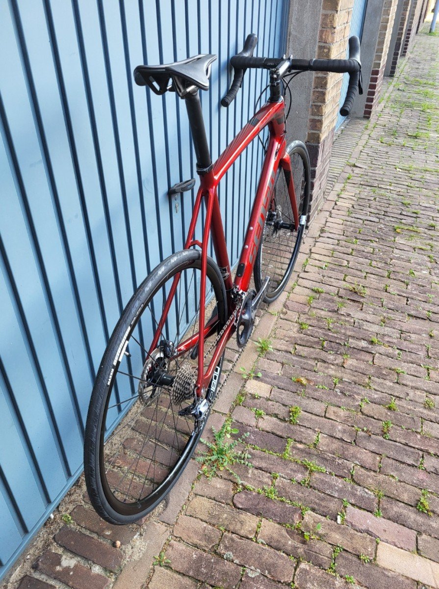 Sensa Guillia Rood - Afbeelding 4