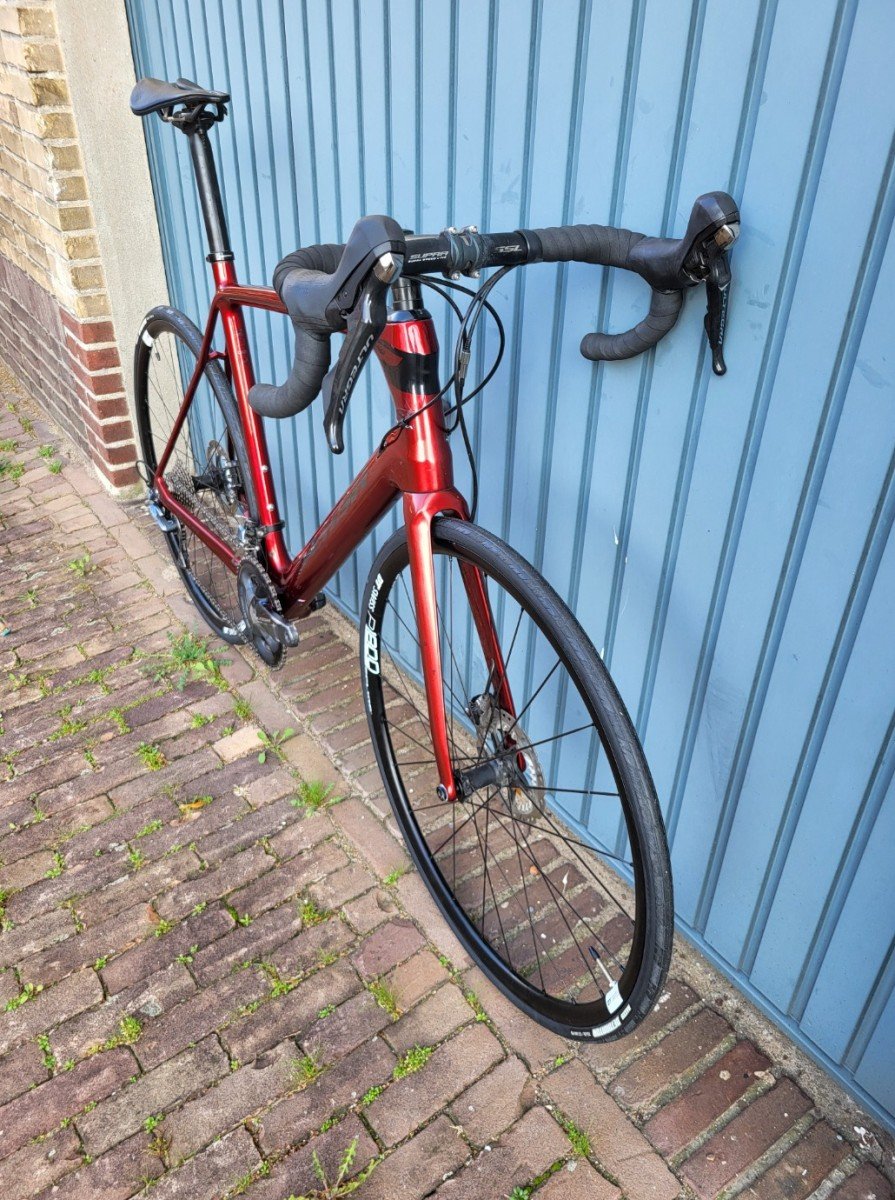 Sensa Guillia Rood - Afbeelding 3